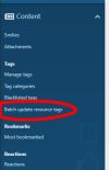 batch-update-resource-tags-menu.jpg
